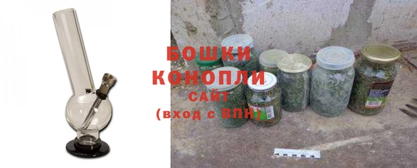PSILOCYBIN Верея