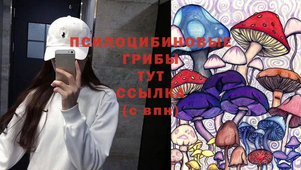 таблы Верхний Тагил
