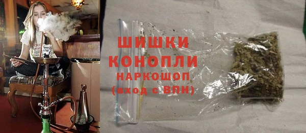 PSILOCYBIN Верея