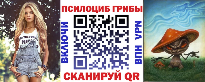 Псилоцибиновые грибы Psilocybine cubensis  Полевской 