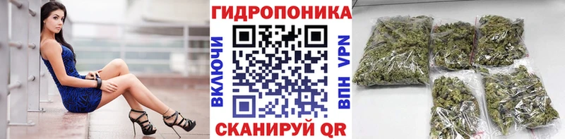 Бошки Шишки Amnesia закладки Полевской